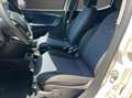 Lancia Ypsilon 1.0 firefly hybrid Platino s&s 70cv - KM 0 Bianco - thumbnail 11