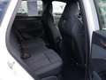 CUPRA Terramar 1.5 eTSI - PDC SHZ KAMERA AHK ACC HUD LED *SN219* Weiß - thumbnail 4