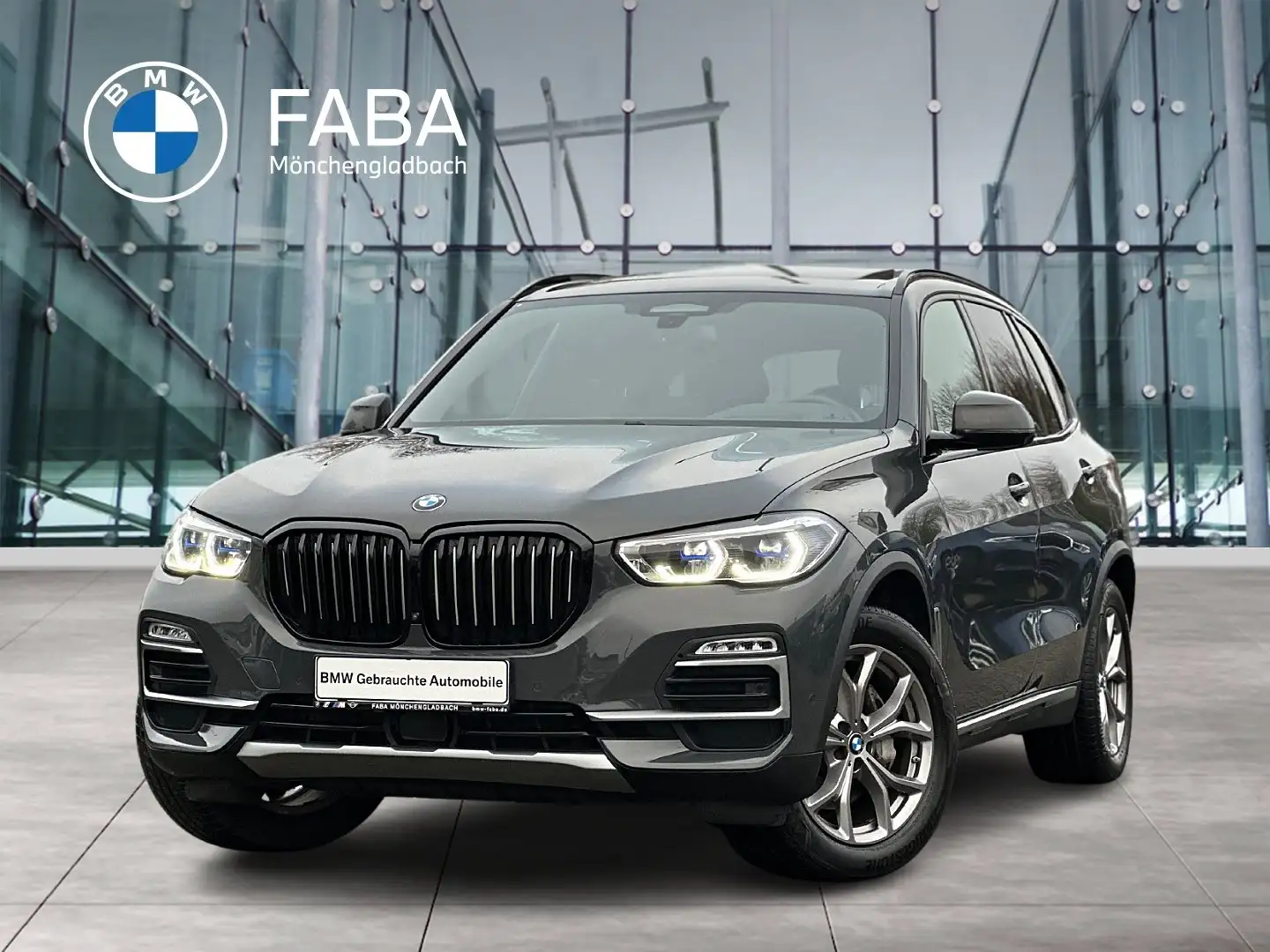 BMW X5 xDrive30d xLine Head-Up HiFi DAB WLAN RFK Grau - 1