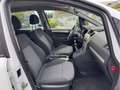 Opel Zafira B 1.6 CNG ERDGAS/BENZIN Edition Weiß - thumbnail 7