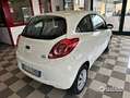 Ford Ka/Ka+ Ford Ka 1.2 Benzina Neopatentati Blanc - thumbnail 8