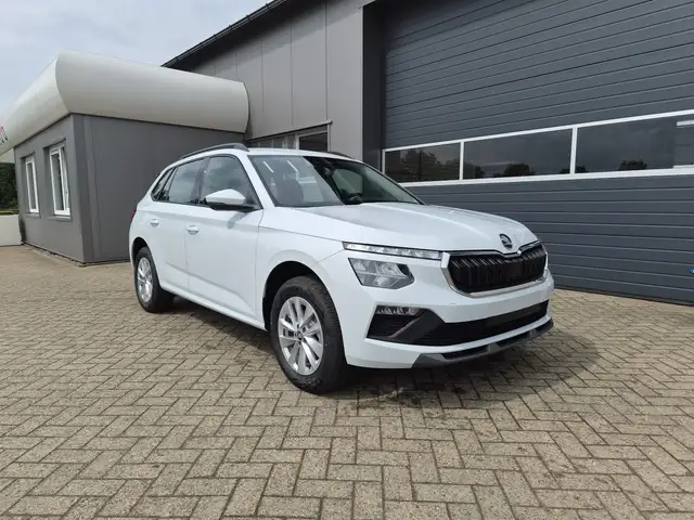 Skoda Kamiq view 7