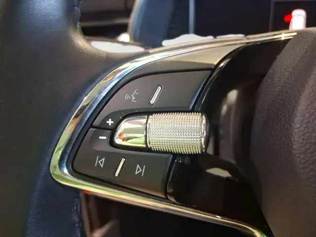 Skoda Kamiq view 9