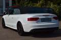 Audi A5 Cabrio S-Line|Bi-Xenon|Alcantara|Si-Hzg|Tempo Weiß - thumbnail 9