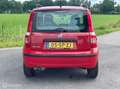 Fiat Panda 1.2 Automaat NAP Rood - thumbnail 8