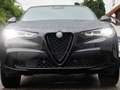 Alfa Romeo Stelvio Quadrifoglio 2,9l Q4 vom AR Vertragshändler Noir - thumbnail 5