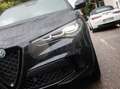 Alfa Romeo Stelvio Quadrifoglio 2,9l Q4 vom AR Vertragshändler Noir - thumbnail 9
