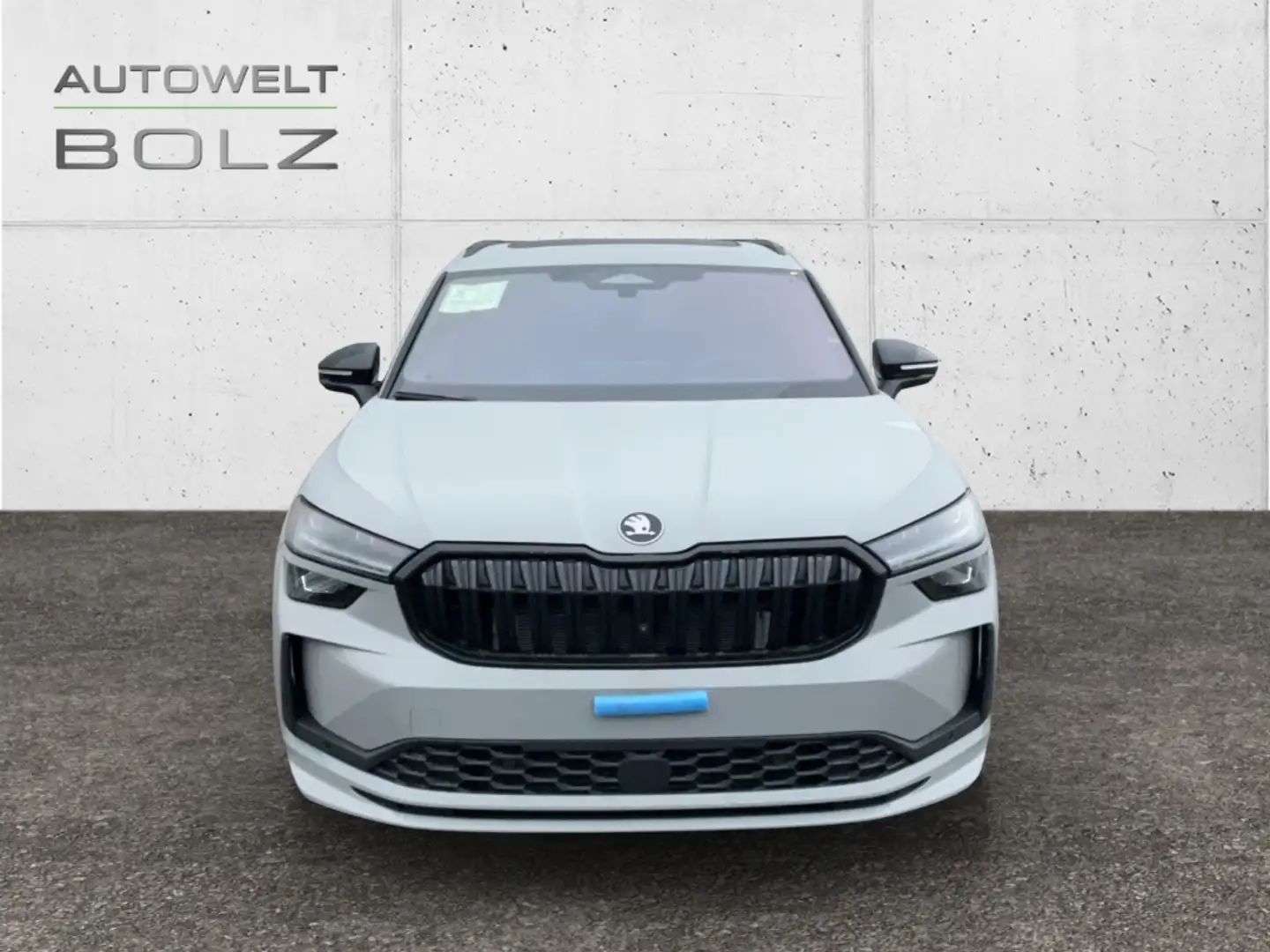Skoda Kodiaq Sportline 2.0 TDI 4x4 AHK Panodach Kamera digiCock Grau - 2