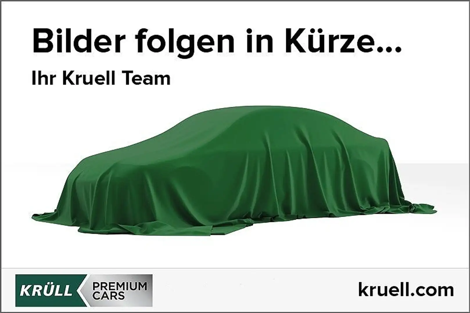 Land Rover Defender 110 D250 S Luftfederung|Winterpaket Grau - 1