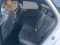 Kia ProCeed / pro_cee'd PROCEED 1.5T DCT GT-Line LED+Kamera+Navi+SHZ Alb - thumbnail 10