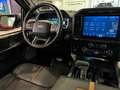 Ford F 150 3.5 V6 Ecoboost Platinum BPM VRIJ Rouge - thumbnail 27