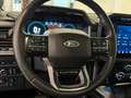 Ford F 150 3.5 V6 Ecoboost Platinum BPM VRIJ Rouge - thumbnail 24