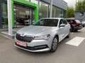 Skoda Superb Ambition mit beh. Windschutscheibe/SmartLink Silber - thumbnail 1