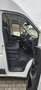 Fiat Ducato 140 L4H2 RS: 4035 mm Weiß - thumbnail 10