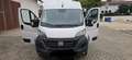 Fiat Ducato 140 L4H2 RS: 4035 mm Weiß - thumbnail 1