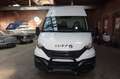 Iveco Daily Kasten 35 S14 Maxi TüvAutomatikKlimaPDCAHK Weiß - thumbnail 2
