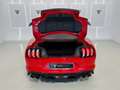 Ford Mustang Fastback 5.0 Ti-VCT Mach I Aut. Rojo - thumbnail 13