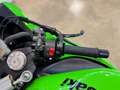 Kawasaki Ninja 600 ZX-6R MY 2011 Verde - thumbnail 11