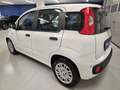 Fiat Panda 1.0 FireFly S&S Hybrid Pandina Weiß - thumbnail 4