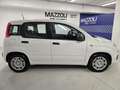 Fiat Panda 1.0 FireFly S&S Hybrid Pandina Bianco - thumbnail 6