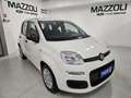 Fiat Panda 1.0 FireFly S&S Hybrid Pandina Bianco - thumbnail 1