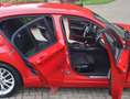 BMW 116 1-serie 116i Sportstoelen/M-Sportchassis/Bluetooth Rojo - thumbnail 18