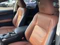 Lexus NX 300 Hybrid 4WD Luxury Grau - thumbnail 10