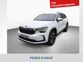 Skoda Kodiaq Selection 2.0 TDI 7-DSG 4x4 *AHK*DCC*ACC Weiß - thumbnail 1