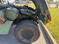 HUMMER H1 Humvee *H-Zulassung/M1123/6.5l/4-Gang/X-Doors* Grün - thumbnail 17
