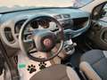 Fiat Panda 1.0 FireFly S&S Hybrid NEOPATENTATI - PREZZO REALE Grigio - thumbnail 14