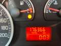Fiat Punto Punto 5p 1.2 Active Gpl Nero - thumbnail 17