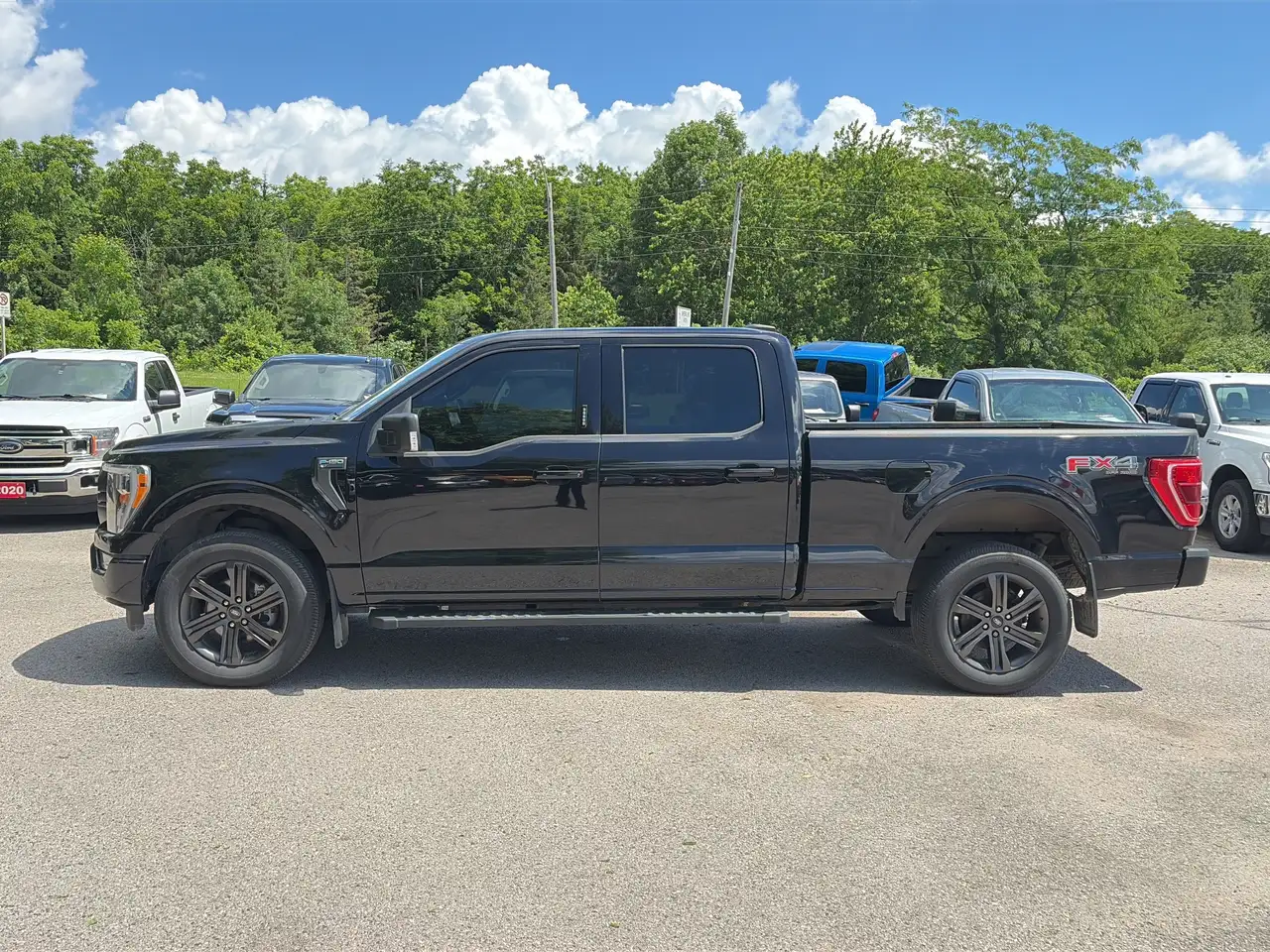 Ford F 150 fotografie Ford F 150