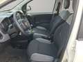 Fiat Panda Panda III 2021 1.0 firefly hybrid City Life s Blanc - thumbnail 6