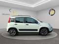 Fiat Panda Panda III 2021 1.0 firefly hybrid City Life s Blanc - thumbnail 3