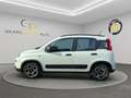 Fiat Panda Panda III 2021 1.0 firefly hybrid City Life s Blanc - thumbnail 1