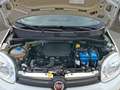 Fiat Panda Panda III 2021 1.0 firefly hybrid City Life s Blanc - thumbnail 13