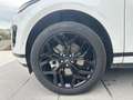 Land Rover Range Rover Evoque RR Evoque 2.0D I4-L.Flw 150 CV AWD Auto S *PROMO Weiß - thumbnail 7