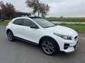 Kia XCeed 1.6 GDi PHEV ExecutiveLine, Aut, Pano, Leder, 1e e Blanco - thumbnail 2