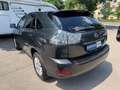 Lexus RX 350 AUT~Kam~Leder~S.Dach~Temp~ Grau - thumbnail 3
