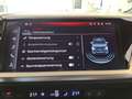 Audi e-tron Navi, PDC, LED Schwarz - thumbnail 16
