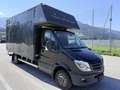 Mercedes-Benz Sprinter Koffer 519  3.0 CDI 190 PS   Pickerl Neu  06/27 Schwarz - thumbnail 2