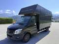 Mercedes-Benz Sprinter Koffer 519  3.0 CDI 190 PS   Pickerl Neu  06/27 Schwarz - thumbnail 1