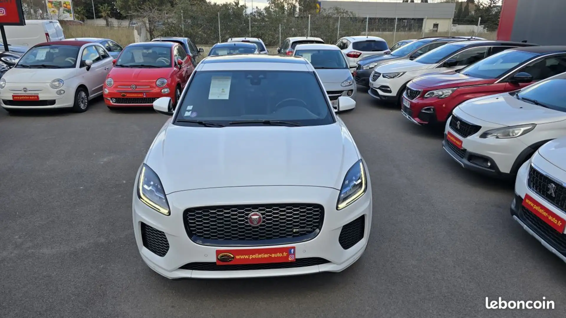 Jaguar E-Pace 2.0 P200 ch MHEV AWD BVA R-Dynamic SE Blanc - 2