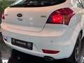 Kia ProCeed / pro_cee'd ProCeed Edition 7 Audio Navi Tempo PDC 2.Hand Weiß - thumbnail 30