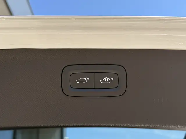 Volvo XC90 view 19