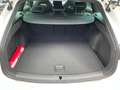 CUPRA Leon Sportstourer 2.0 TSI VZ *LED*NAVI*PARKSENSOR* Alb - thumbnail 16