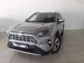 Toyota RAV 4 2.5 hybrid 4WD Luxury Silber - thumbnail 1