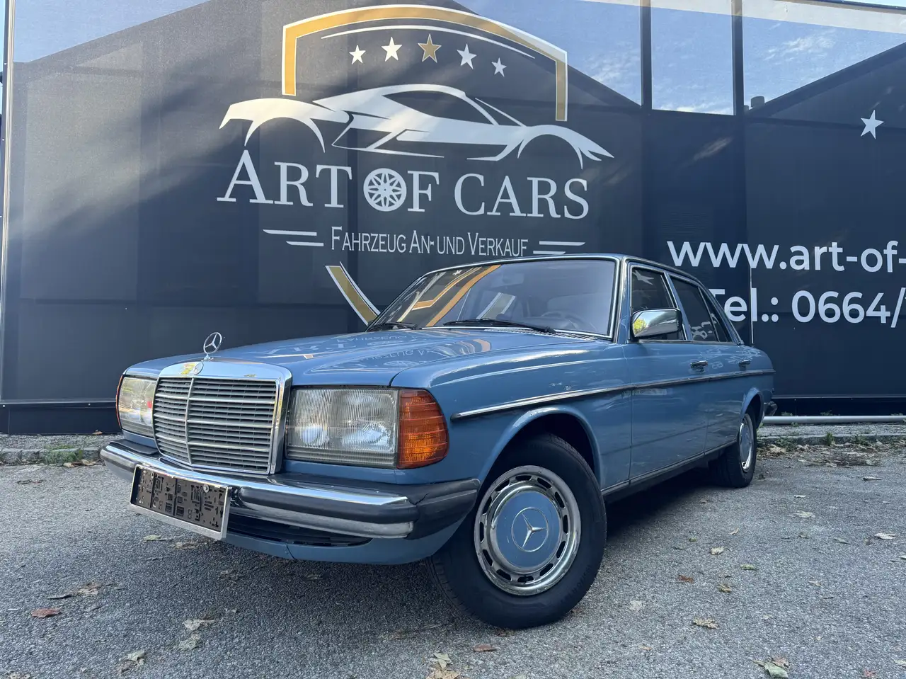 Mercedes-Benz 230, foto 2