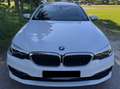 BMW 530 530d xDrive Touring Aut. Sport Line Weiß - thumbnail 5