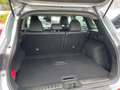 Renault Kadjar Kadjar 1.5 blue dci Intens 115cv Automatica Argent - thumbnail 14